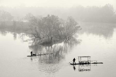 Foggy morning