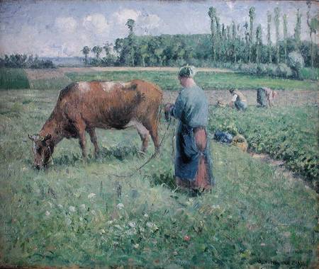 Girl Tending a Cow in Pasture de Camille Pissarro