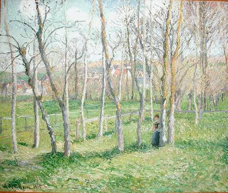 Meadow at Bazincourt de Camille Pissarro