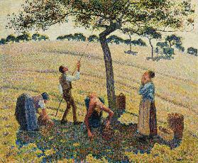 Camille Pissarro todas las impresiones artísticas y pinturas en  REPRODART.COM