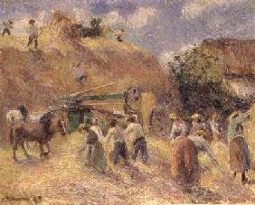 The Harvest