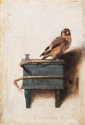 C.Fabritius, El pinzón cardo / 1654 - Carel Fabritius