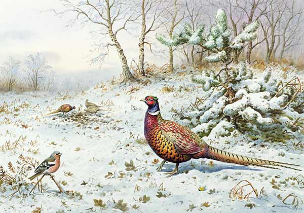 Cock Pheasant and Chaffinch  de Carl  Donner