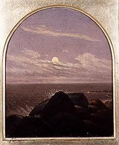 Sea coast in the moonlight