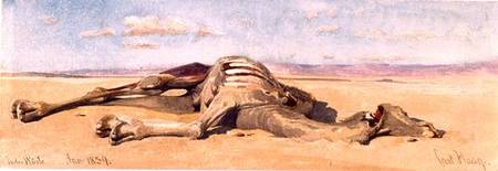 A Dead Camel de Carl Haag