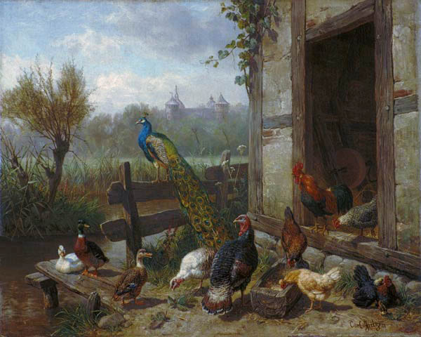 Poultry court de Carl Jutz
