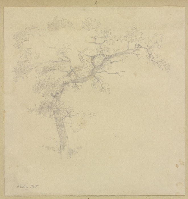 Tree de Carl Theodor Reiffenstein