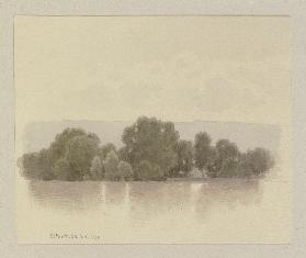 Island in the Rhine near Eltville