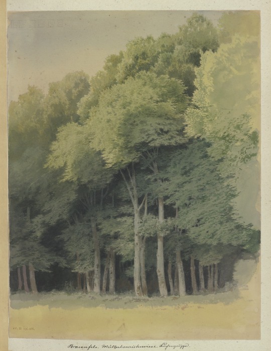 Forest edge near Braunfels de Carl Theodor Reiffenstein
