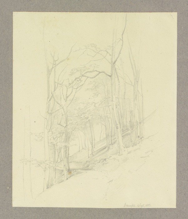 Waldstück an einem Hang bei Braunfels de Carl Theodor Reiffenstein