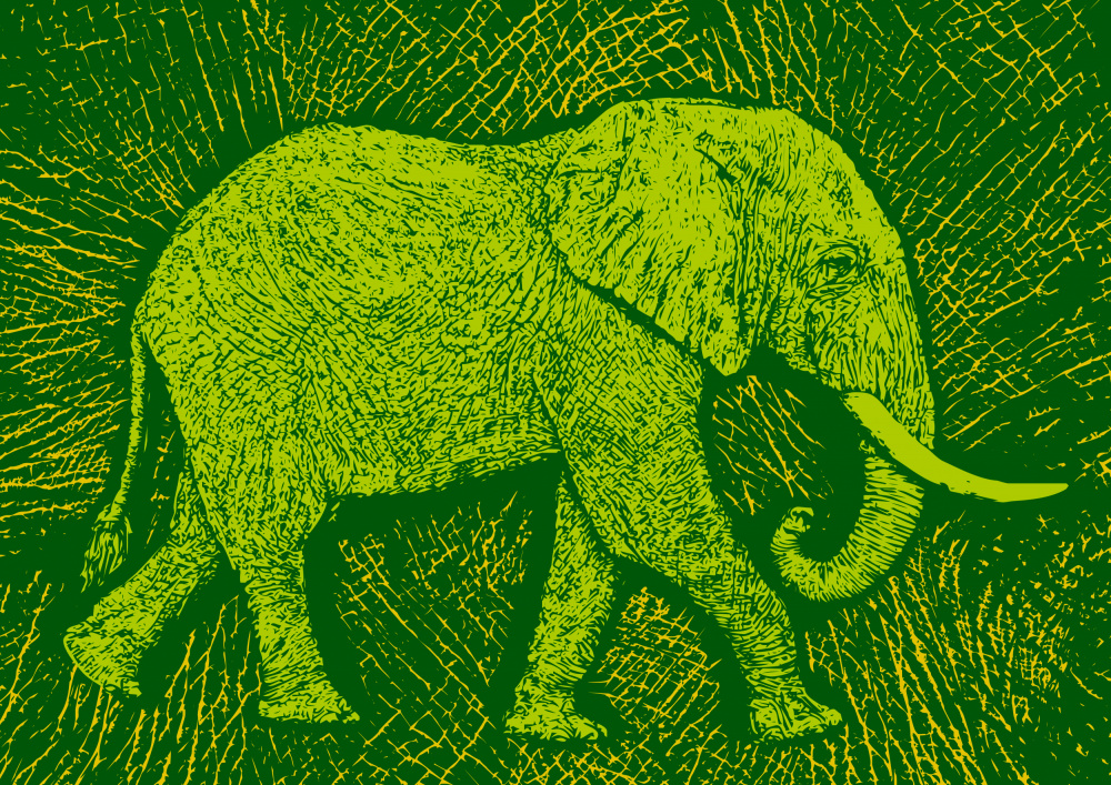 Africa Elephant texture pattern de Carlo Kaminski