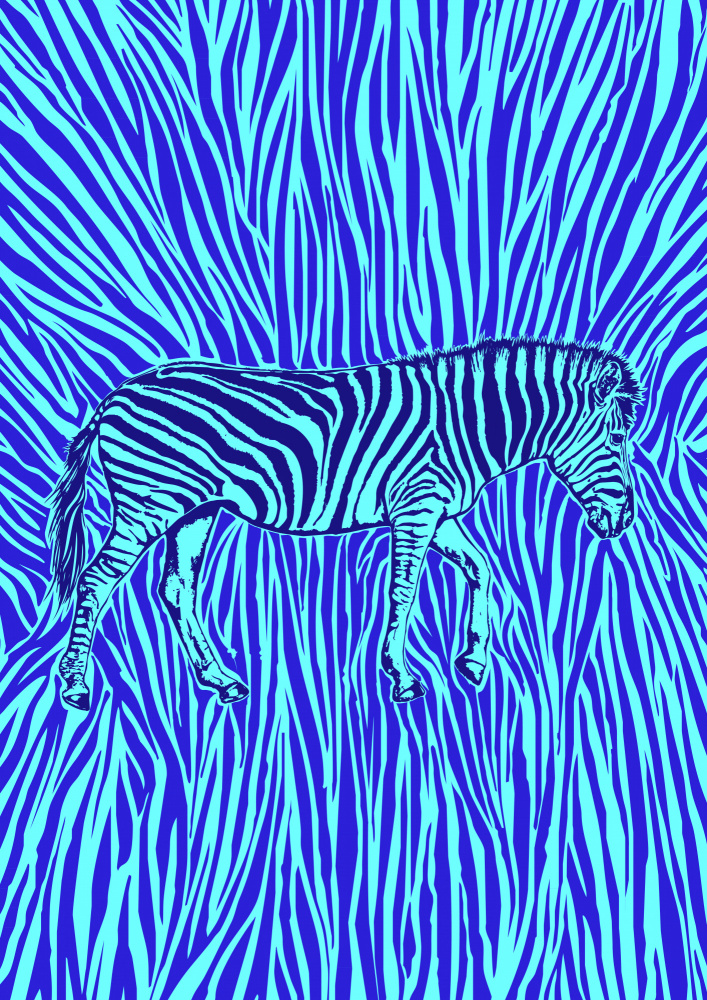African Zebra striking camouflage de Carlo Kaminski