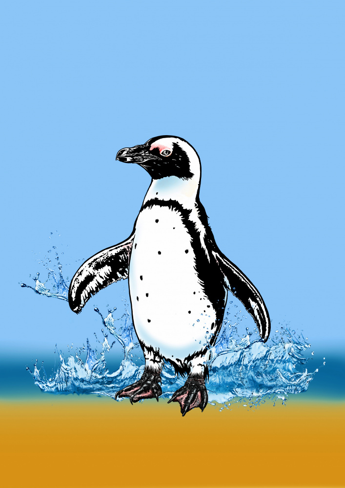 Cute Penguin splashing de Carlo Kaminski
