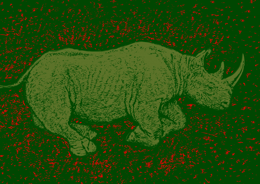 Black Rhino Endangered de Carlo Kaminski