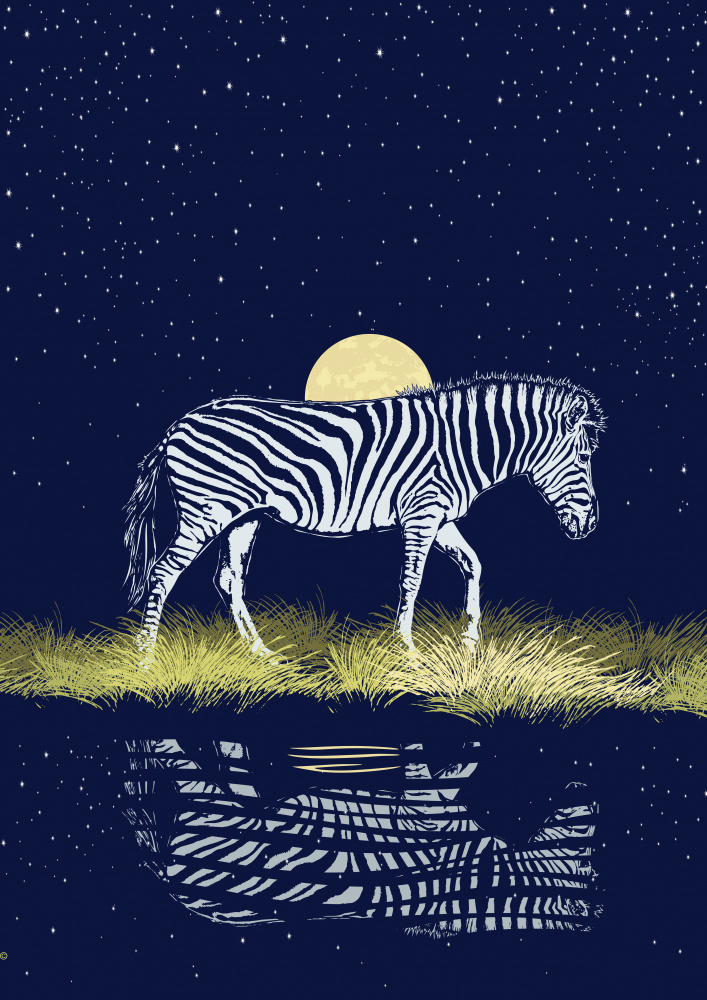 Zebra at Waterhole Moonrise de Carlo Kaminski