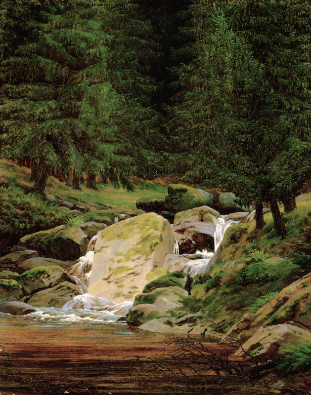 Paisaje de cascada con hojas parennes de Caspar David Friedrich