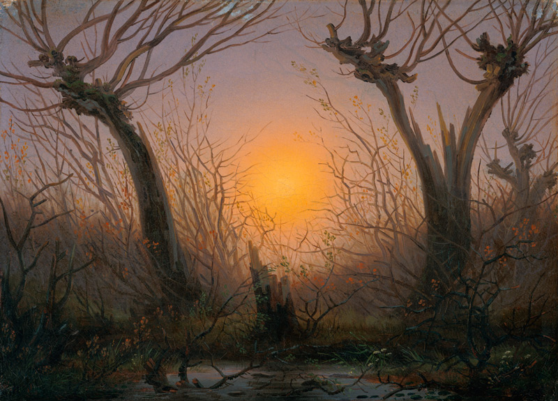 Waldlandschaft bei tiefstehender Sonne. de Caspar David Friedrich