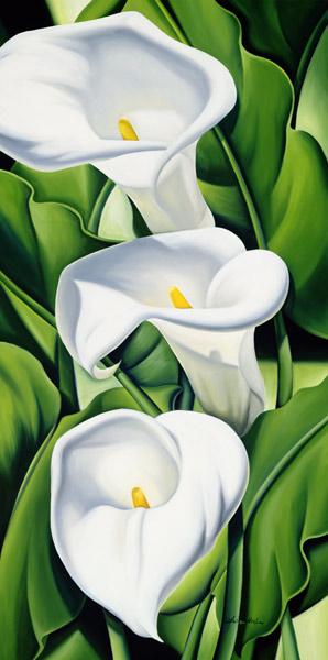 Lilies