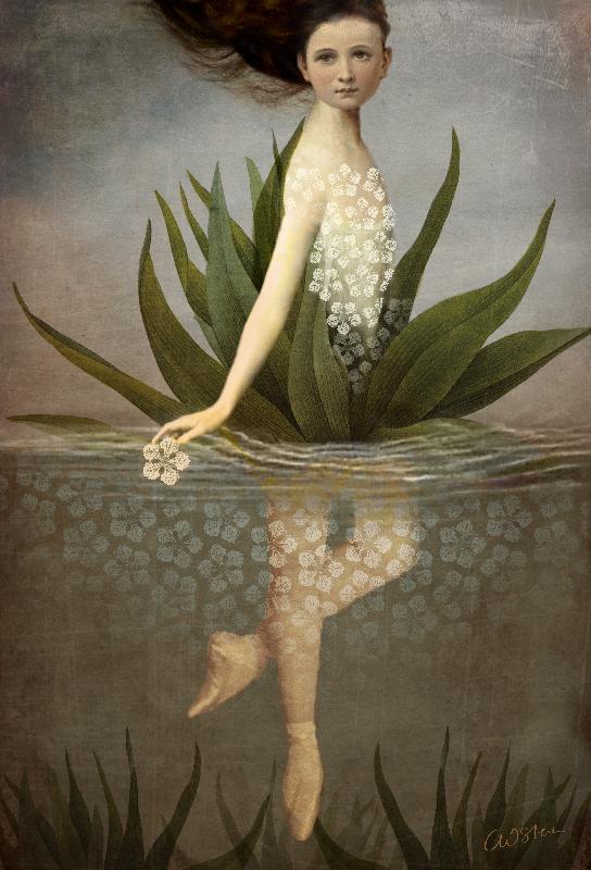 Nenúfar de Catrin Welz-Stein