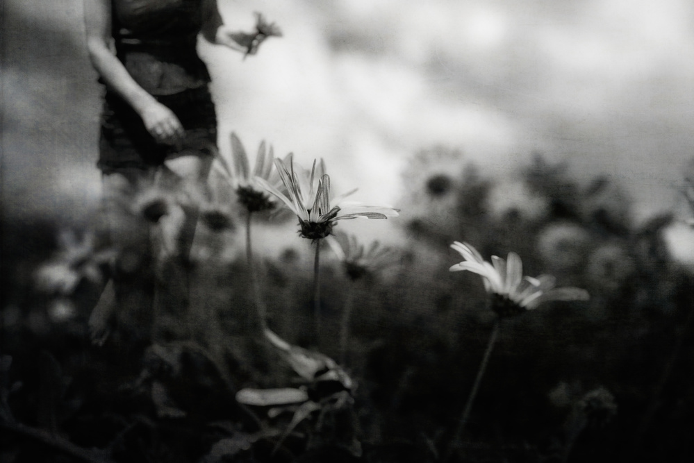 ...then I was young and unafraid... de Charlaine Gerber