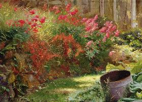 A Sunlit Garden