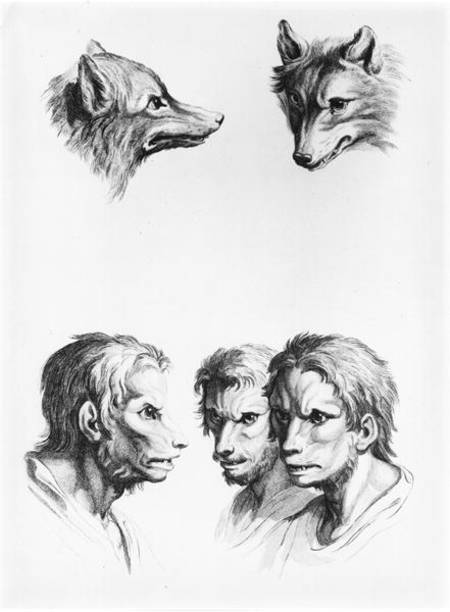 Similarities Between the Head of a Wolf and a Man, from 'Livre de portraiture pour ceux qui commence de Charles Le Brun