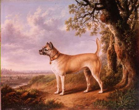 A Terrier on a path in a wooded landscape de Charles Towne