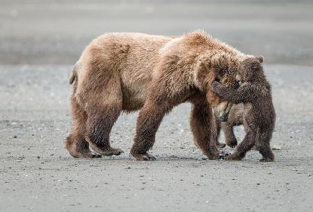 Playtime With Mom