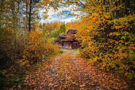 Old mill surrounded by autumn colors