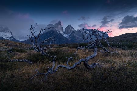 Torres del Paine