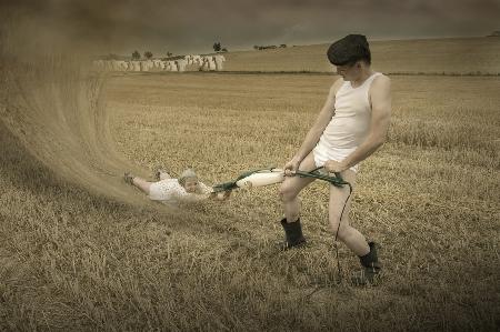 Cottonfarmer II