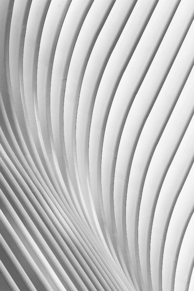 Calatrava Lines de Christopher Budny