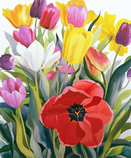 Tulips de Christopher  Ryland