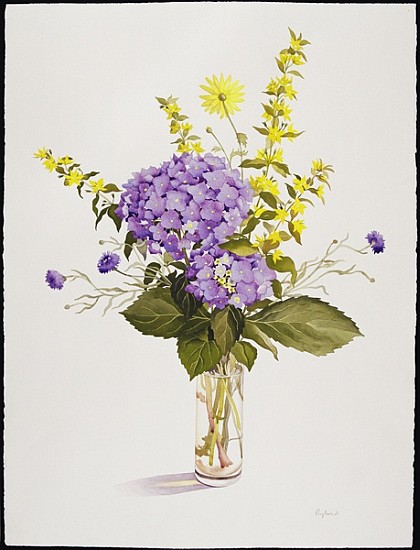 Blue Hydrangea with Yellow Loosestrife (w/c)  de Christopher  Ryland
