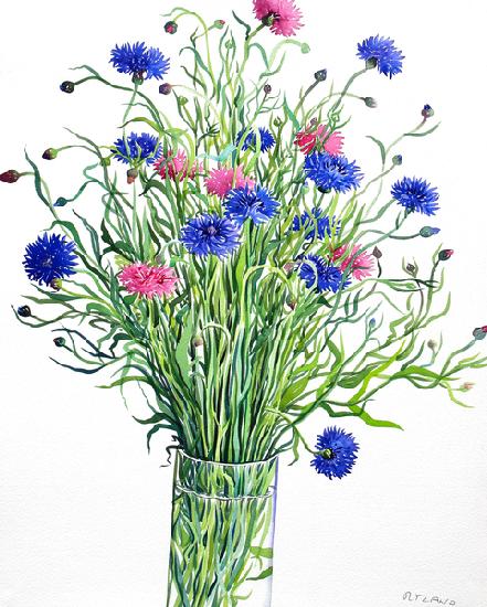 Cornflowers