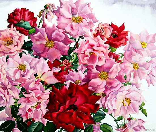 Red and Pink Roses de Christopher  Ryland