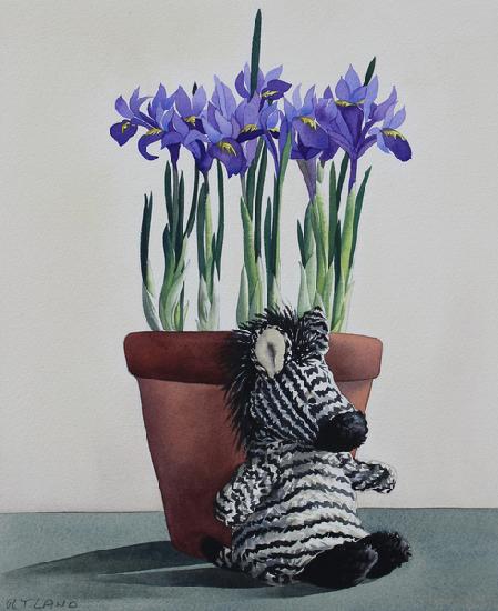 Winter Irises and Zebra