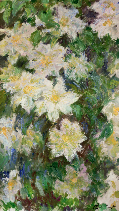 White Clematis de Claude Monet