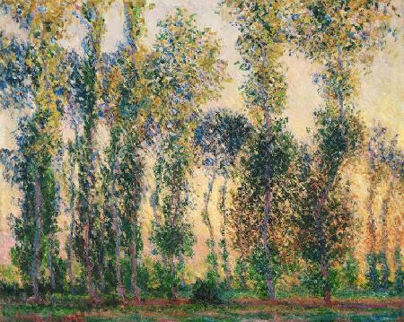 Poplars at Giverny