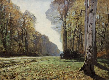 Pave de Chailly, forest di Fontainebleau