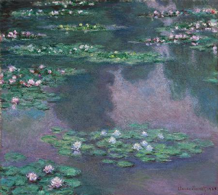 Water Lilies