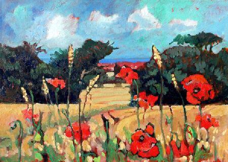 Kent Poppies