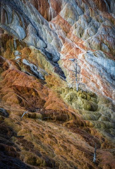 Colours of Yellowstone