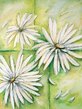 Marguerites