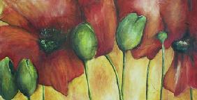 Poppies I