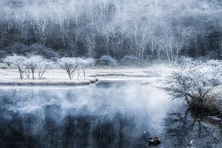 The frozen pond