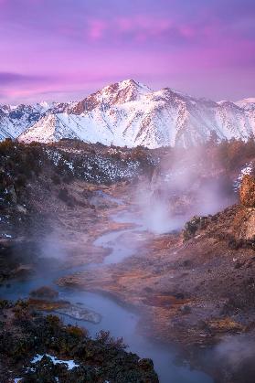 Pink Eastern Sierra