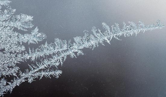 Eisblumen auf Fensterscheibe de Daniel Karmann