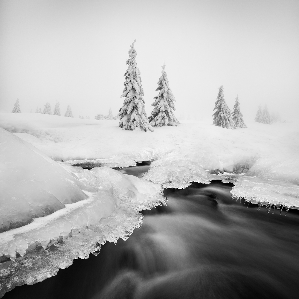 Ice creek... de Daniel Rericha