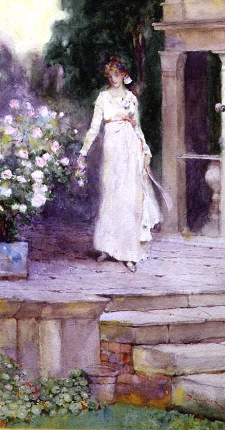 Lady on the Rose Terrace de David Woodlock